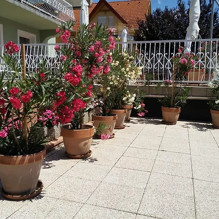 בית הארחה Green